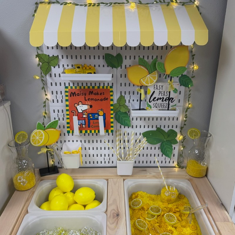 When Life Gives You Lemons…Make a Sensory&nbsp;Bin!